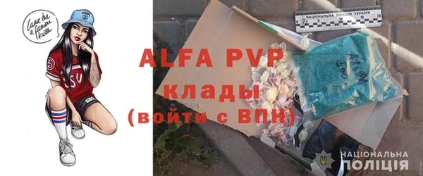 спиды Богданович