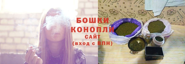 спиды Богданович
