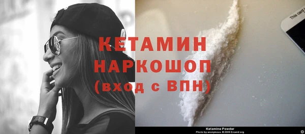спиды Богданович