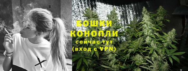 ешки Богородск