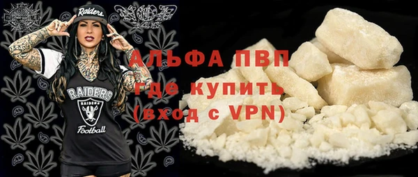 спиды Богданович